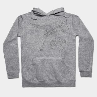 Flamingos Hoodie